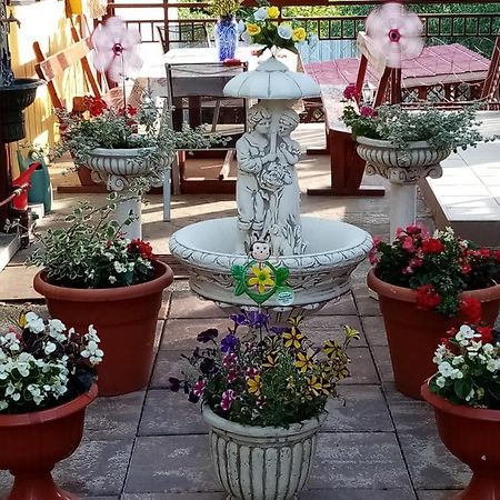 Casa Voica Apartment Турда Екстериор снимка