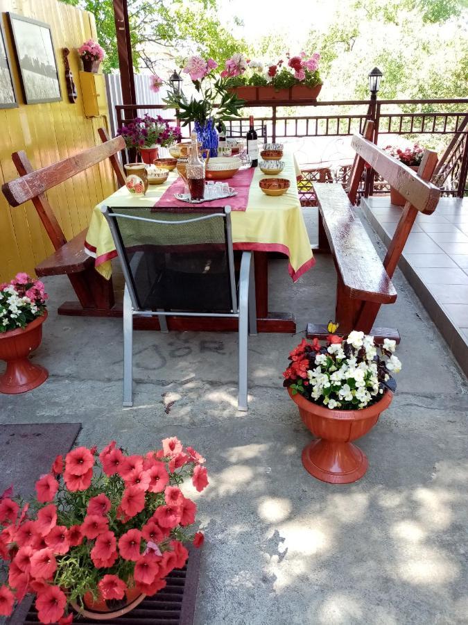 Casa Voica Apartment Турда Екстериор снимка