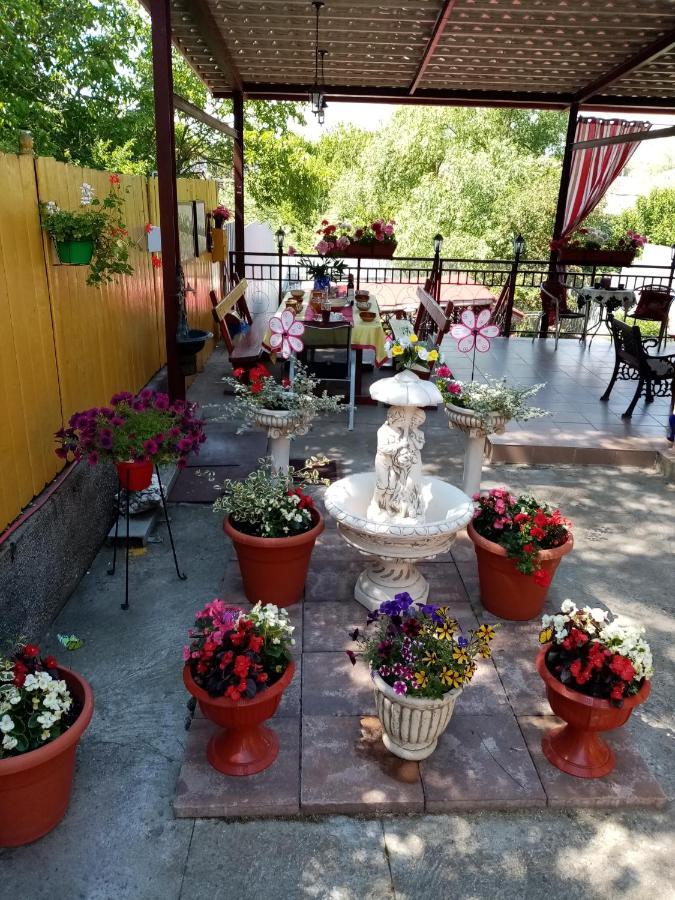 Casa Voica Apartment Турда Екстериор снимка