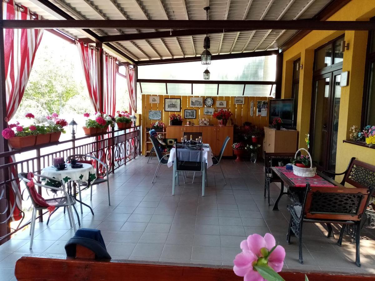 Casa Voica Apartment Турда Екстериор снимка