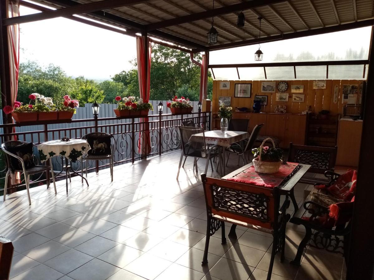Casa Voica Apartment Турда Екстериор снимка