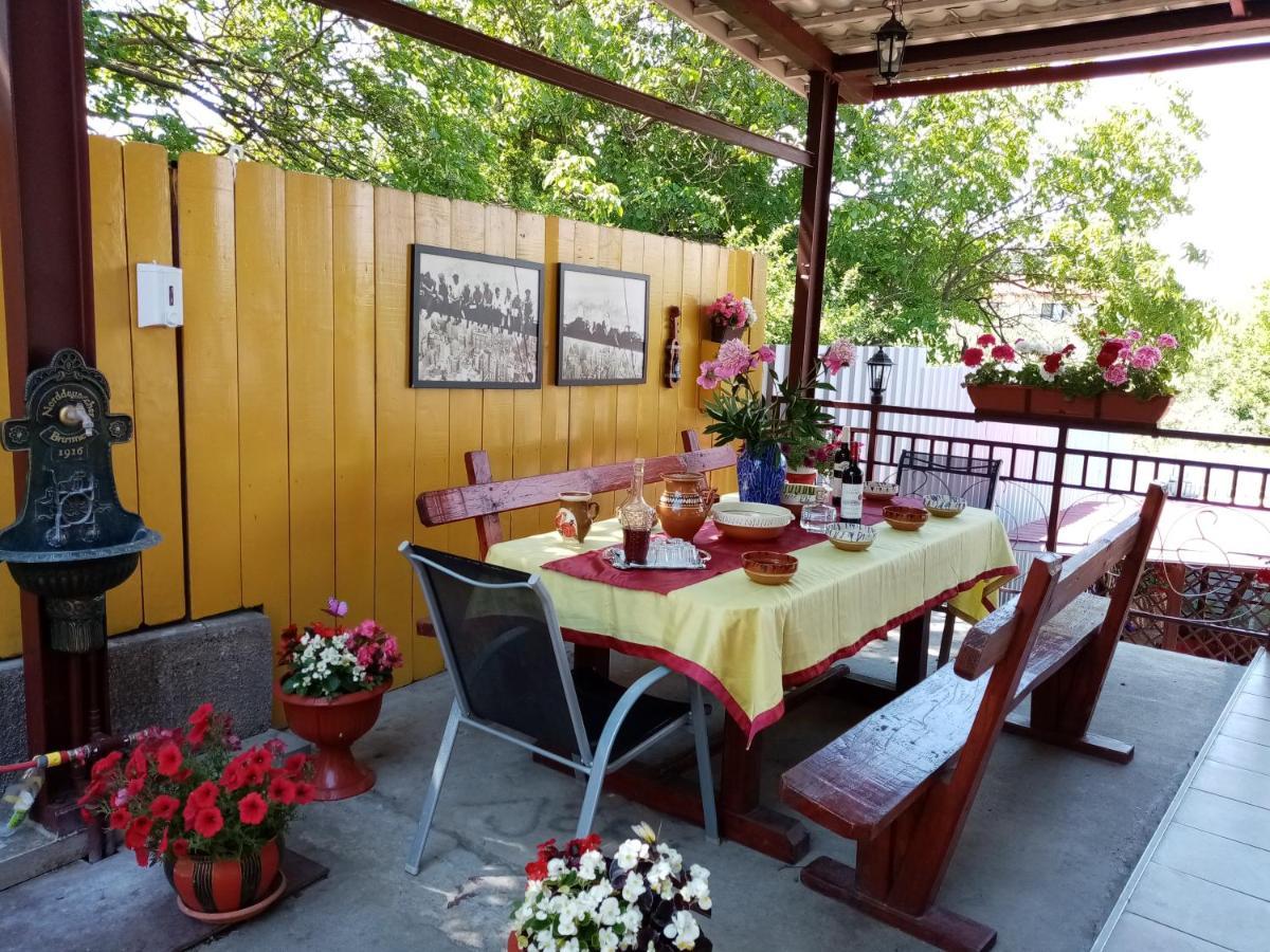 Casa Voica Apartment Турда Екстериор снимка