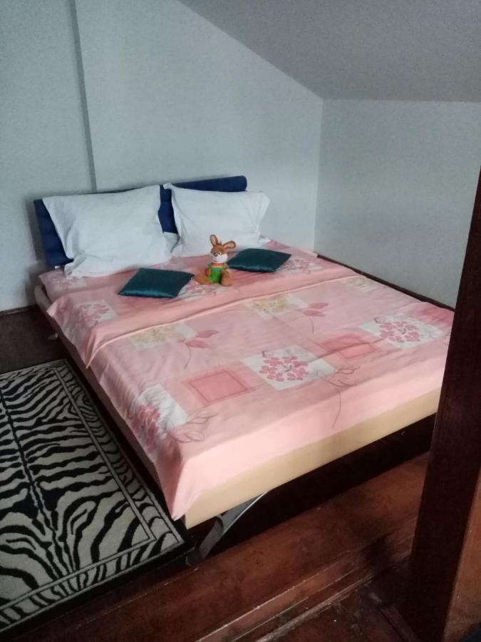 Casa Voica Apartment Турда Екстериор снимка