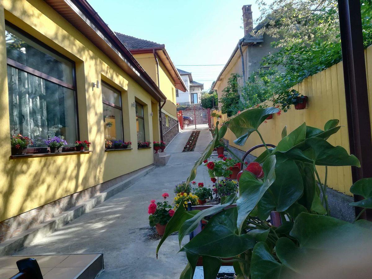 Casa Voica Apartment Турда Екстериор снимка