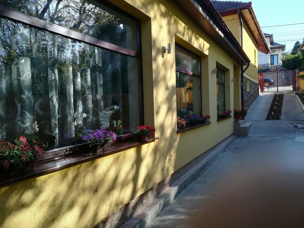 Casa Voica Apartment Турда Екстериор снимка