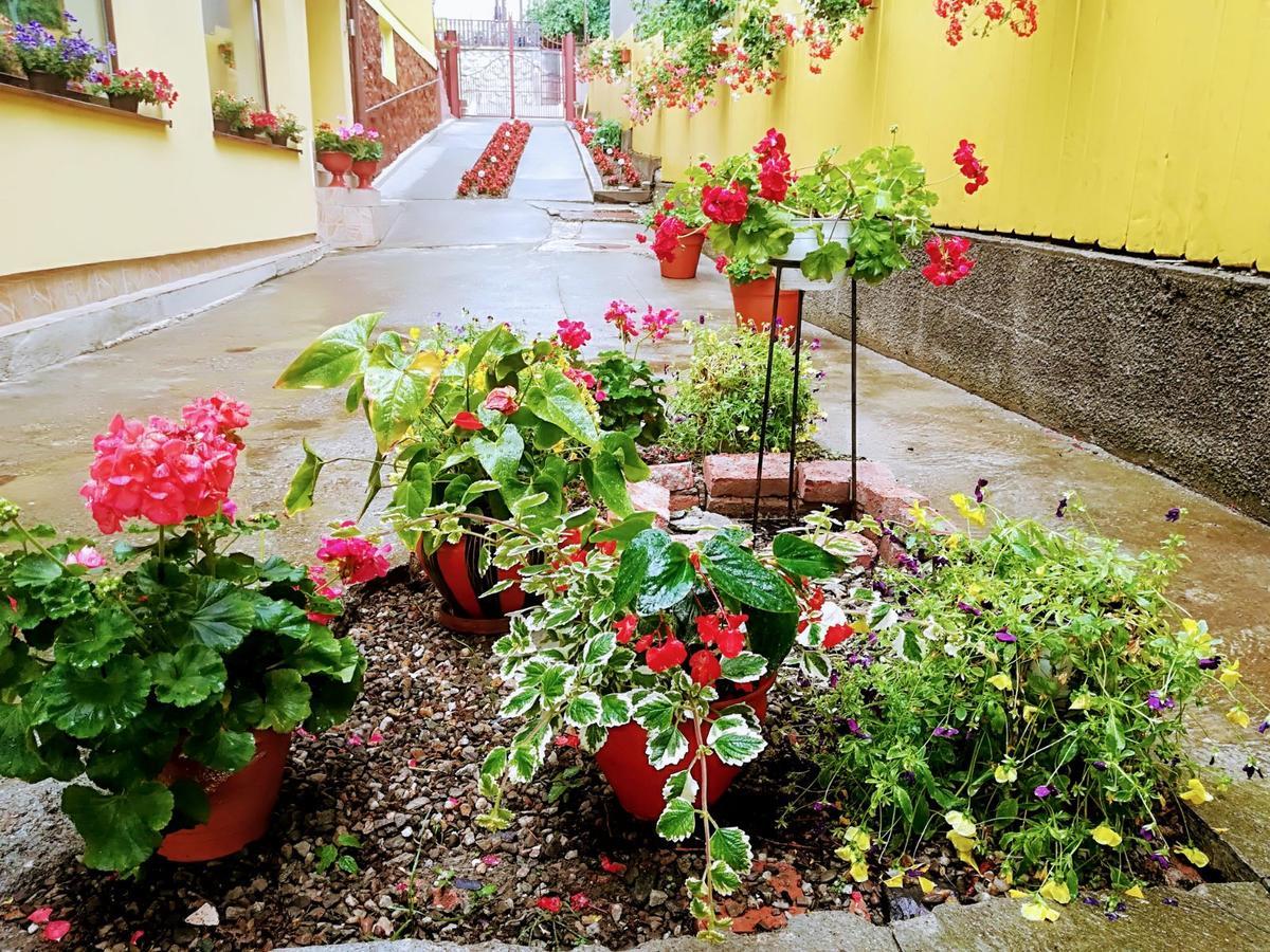 Casa Voica Apartment Турда Екстериор снимка