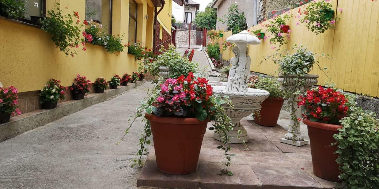 Casa Voica Apartment Турда Екстериор снимка